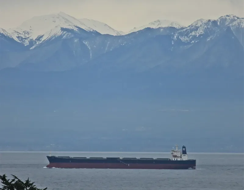 DANAE Bulk Carrier IMO 9290141 photo 9