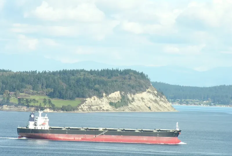 SPITHA Bulk Carrier IMO 9290153 photo 10