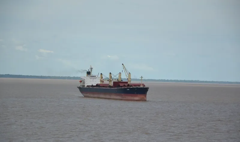 SHENG HUA Bulk Carrier IMO 9290244