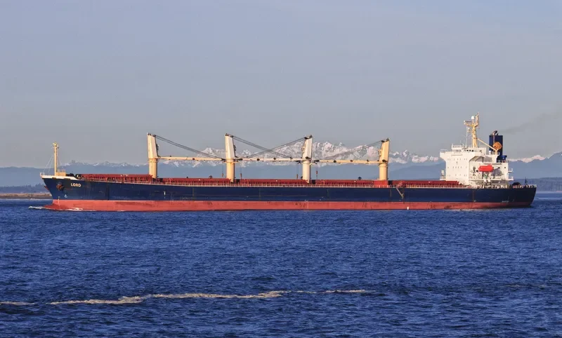SHENG HUA Bulk Carrier IMO 9290244 photo 5