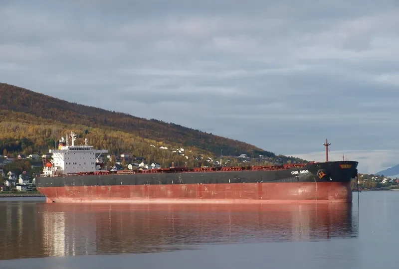CHIN SHAN Bulk Carrier IMO 9290268 photo 8