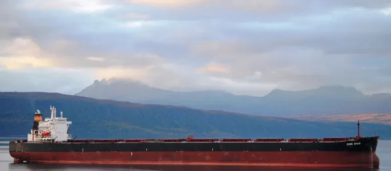 CHIN SHAN Bulk Carrier IMO 9290268 photo 9