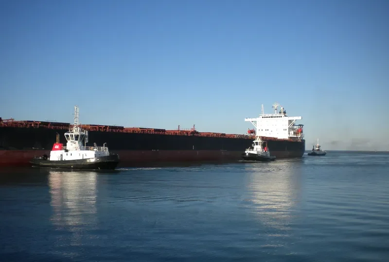 CHIN SHAN Bulk Carrier IMO 9290268 photo 10