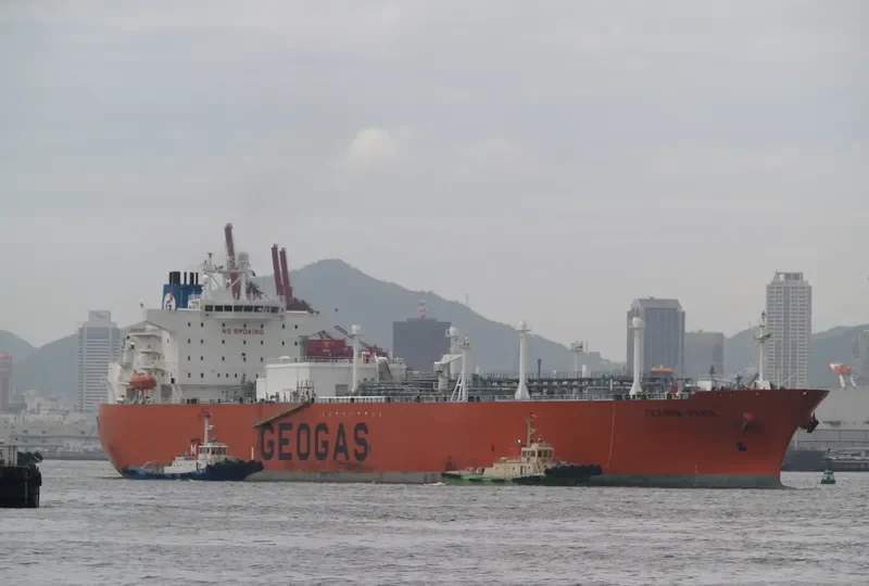 GLOBAL CAPRICORN General Cargo IMO 9290270 photo 4