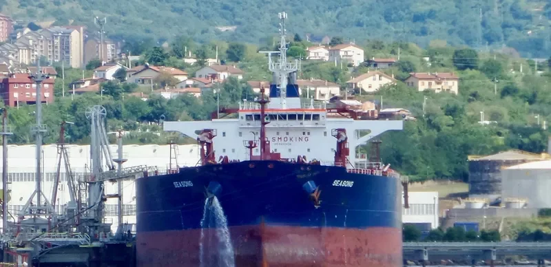 SEASONG Tanker IMO 9290438 photo 3
