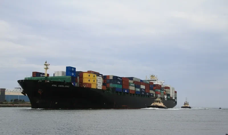 BELLAVIA Container Ship IMO 9290440