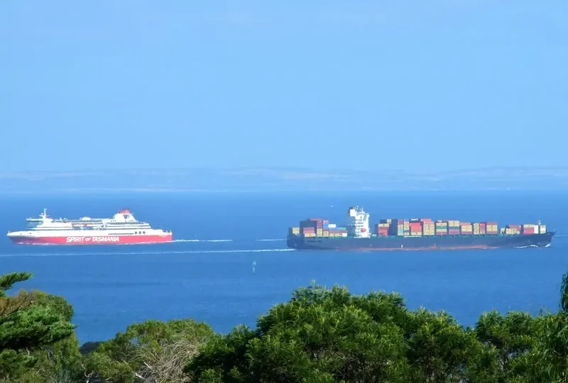 SHILING Container Ship IMO 9290452 photo 5