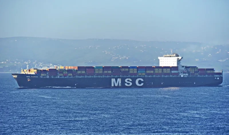 MSC PAMELA Container Ship IMO 9290531