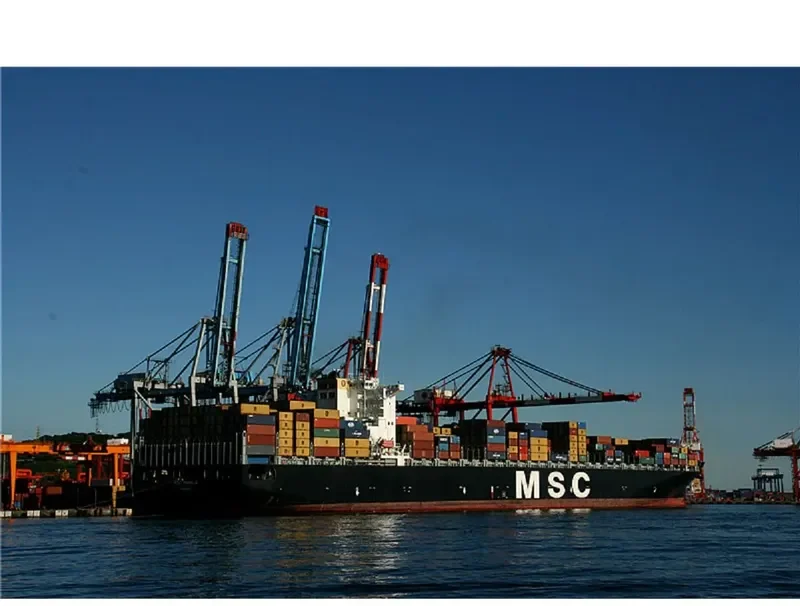 MSC PAMELA Container Ship IMO 9290531 photo 6