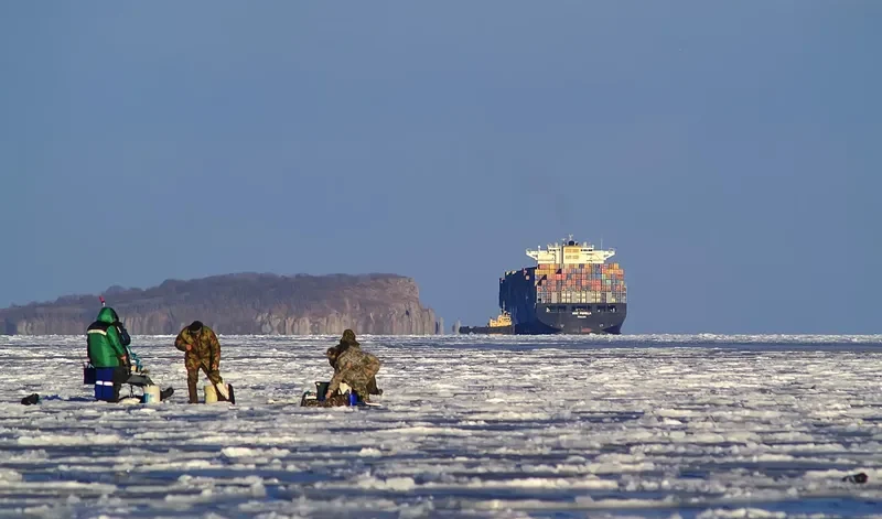 MSC PAMELA Container Ship IMO 9290531 photo 10