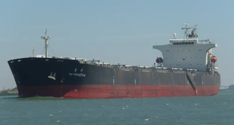 TAI PROMOTION Bulk Carrier IMO 9290696 photo 2