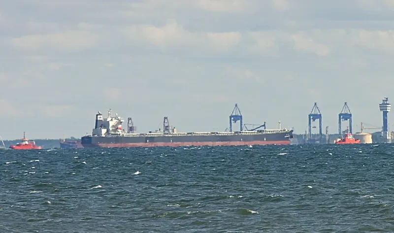 TAI PROMOTION Bulk Carrier IMO 9290696 photo 3