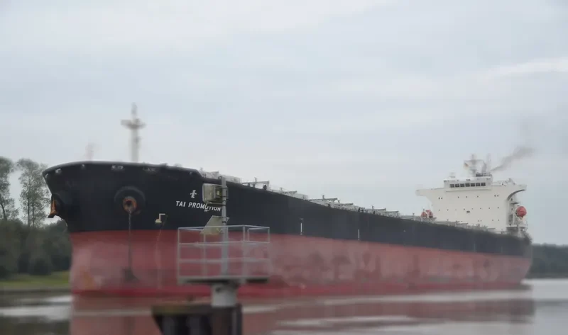 TAI PROMOTION Bulk Carrier IMO 9290696 photo 4