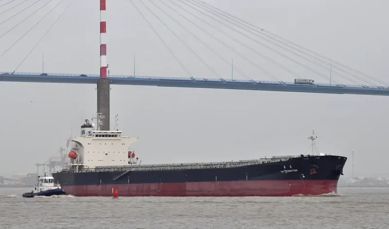TAI PROMOTION Bulk Carrier IMO 9290696 photo 5