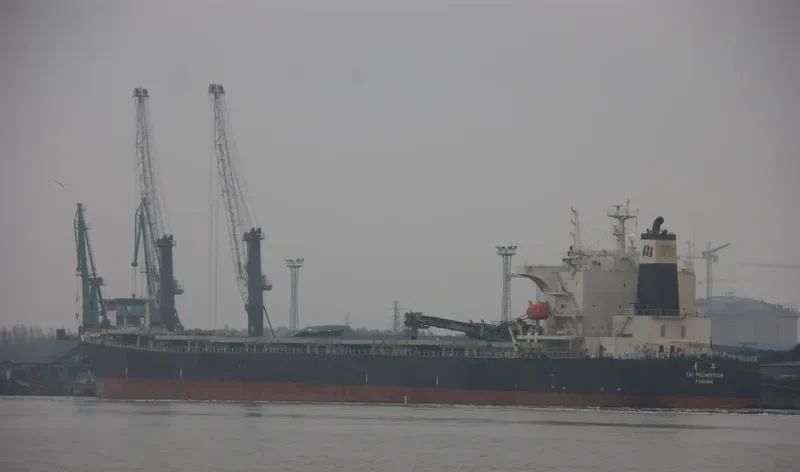 TAI PROMOTION Bulk Carrier IMO 9290696 photo 7