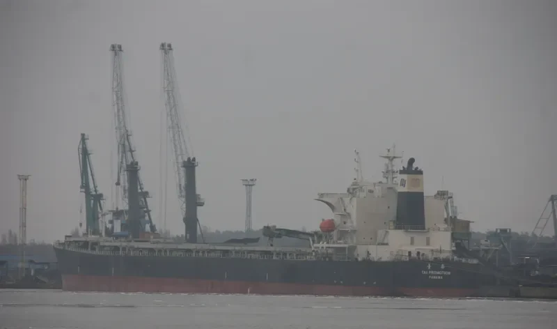 TAI PROMOTION Bulk Carrier IMO 9290696 photo 8