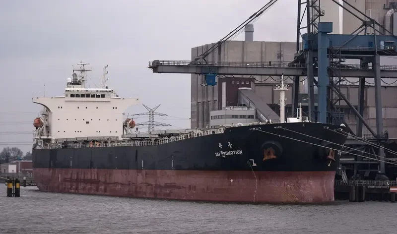 TAI PROMOTION Bulk Carrier IMO 9290696 photo 10