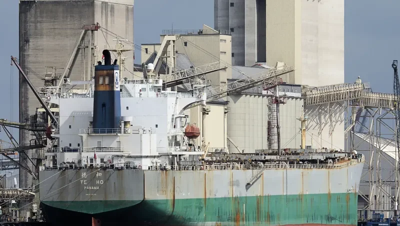 NEW HORIZON Bulk Carrier IMO 9290701 photo 2