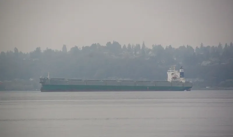NEW HORIZON Bulk Carrier IMO 9290701 photo 9