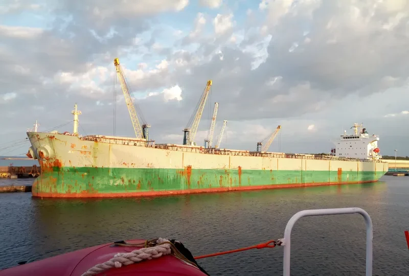 NEW HARVEST Bulk Carrier IMO 9290713 photo 2