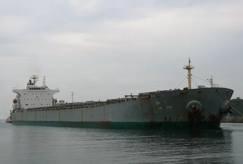 NEW HARVEST Bulk Carrier IMO 9290713 photo 3