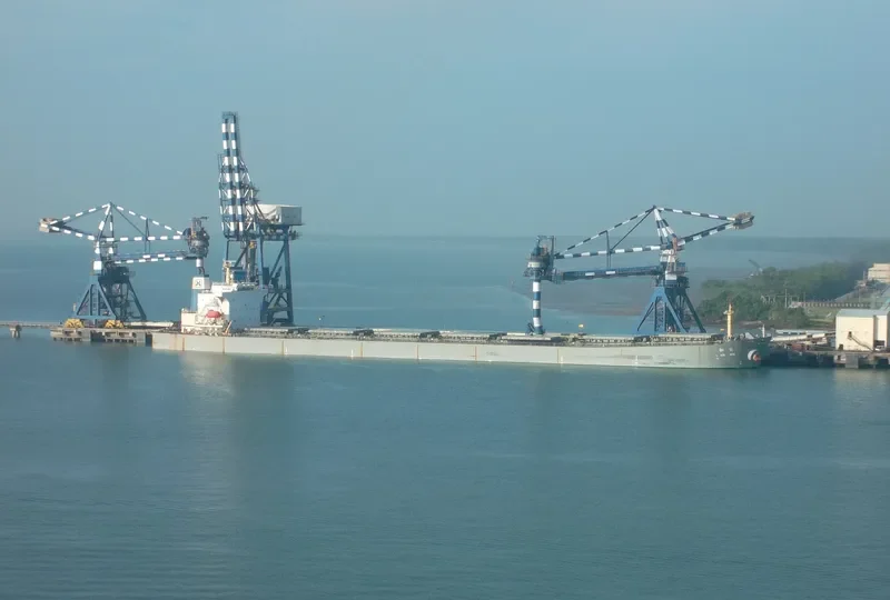 NEW HARVEST Bulk Carrier IMO 9290713 photo 4
