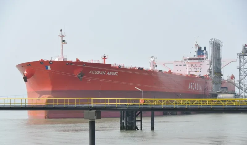NEW HARVEST Bulk Carrier IMO 9290713 photo 7