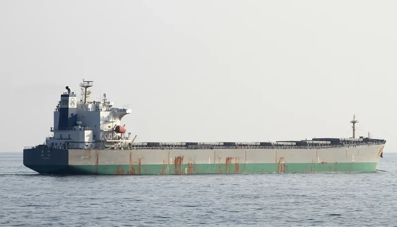 NEW HARVEST Bulk Carrier IMO 9290713 photo 8