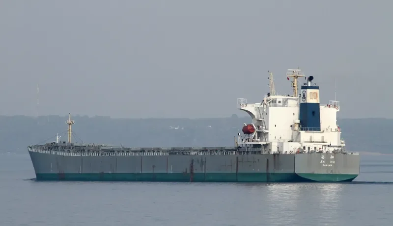NEW HARVEST Bulk Carrier IMO 9290713 photo 10