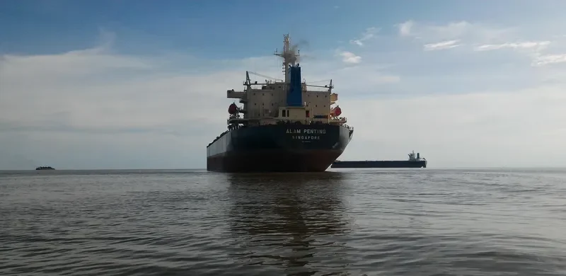 NAVIOS APOLLON I Bulk Carrier IMO 9290842 photo 2
