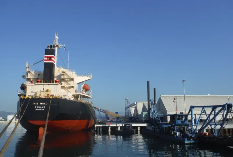 IBRAHIM JAHAN Bulk Carrier IMO 9290854 photo 3