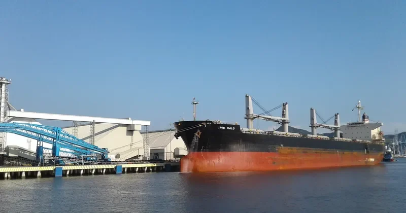 IBRAHIM JAHAN Bulk Carrier IMO 9290854 photo 5