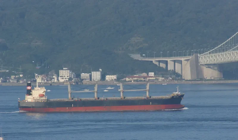 IBRAHIM JAHAN Bulk Carrier IMO 9290854 photo 7