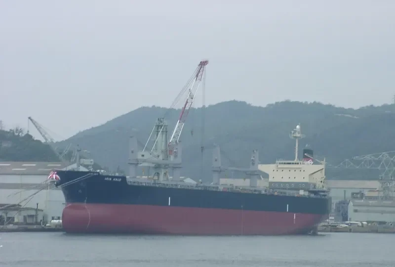 IBRAHIM JAHAN Bulk Carrier IMO 9290854 photo 9