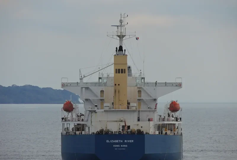 ELIZABETH RIVER Bulk Carrier IMO 9290892 photo 10