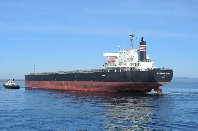 ORIENTAL ENTERPRISE Bulk Carrier IMO 9290971 photo 7