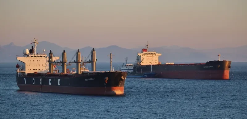 VOSCO UNITY Bulk Carrier IMO 9290983 photo 3