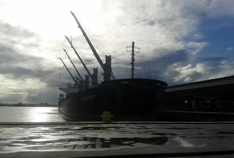 VOSCO UNITY Bulk Carrier IMO 9290983 photo 4