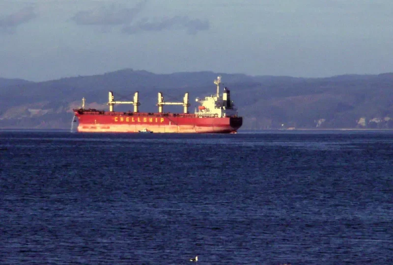 GREAT AMITY Bulk Carrier IMO 9291078 photo 2