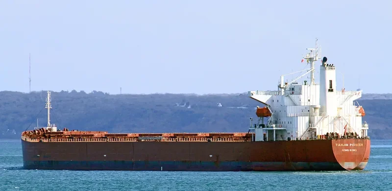 ERIKOUSSA Bulk Carrier IMO 9291092 photo 9