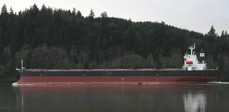 KAVO ALKYON Bulk Carrier IMO 9291121