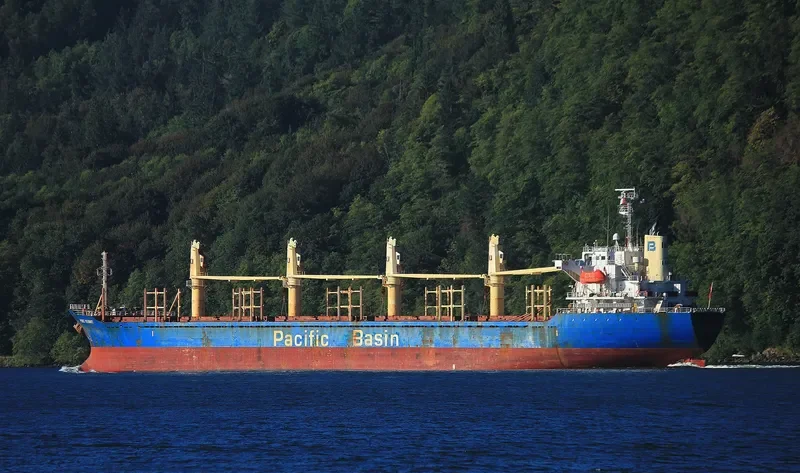 PORT KENNY Bulk Carrier IMO 9291212 photo 7