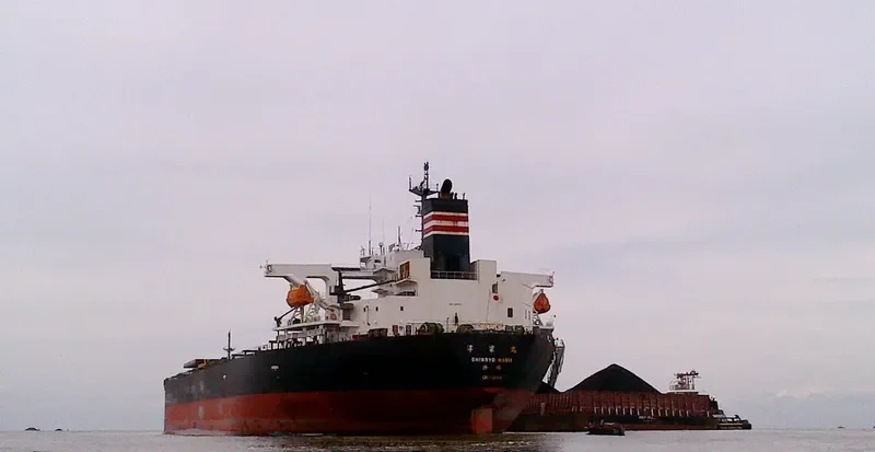 MAPLE RISING Bulk Carrier IMO 9291341 photo 2