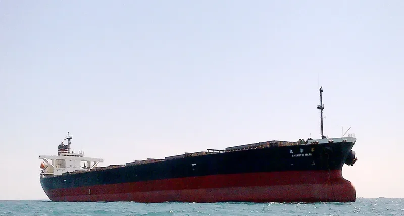MAPLE RISING Bulk Carrier IMO 9291341 photo 3