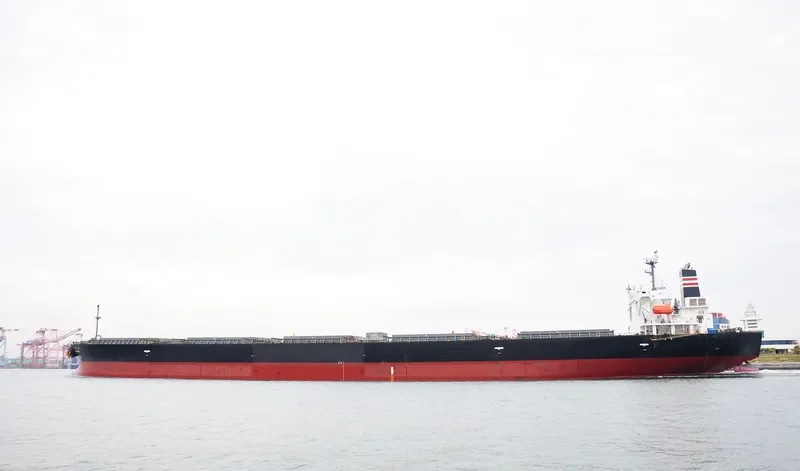 MAPLE RISING Bulk Carrier IMO 9291341 photo 6