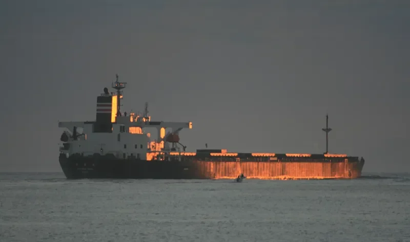 MAPLE RISING Bulk Carrier IMO 9291341 photo 9