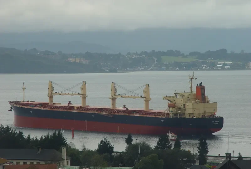 THOR MADOC Bulk Carrier IMO 9291389 photo 8
