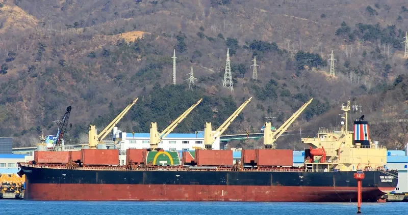 THOR MAXIMUS Bulk Carrier IMO 9291391