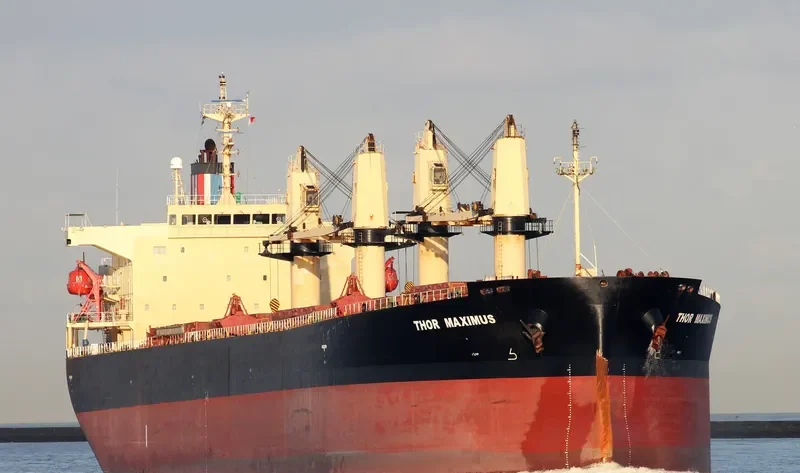 THOR MAXIMUS Bulk Carrier IMO 9291391 photo 5