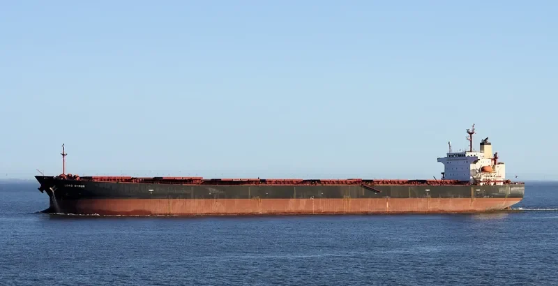 SM GOSEONG Bulk Carrier IMO 9291420 photo 11
